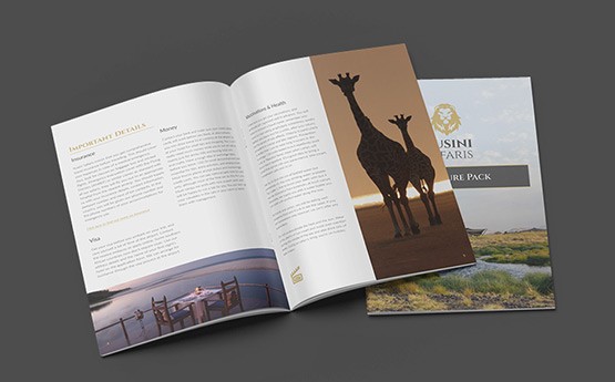 Design Services