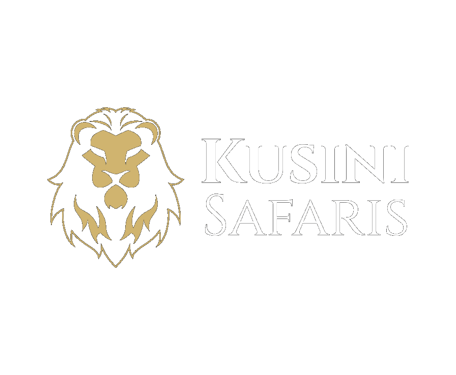 Kusini Logo