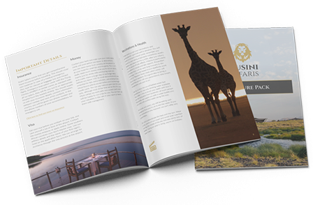 Kusini - Booklet